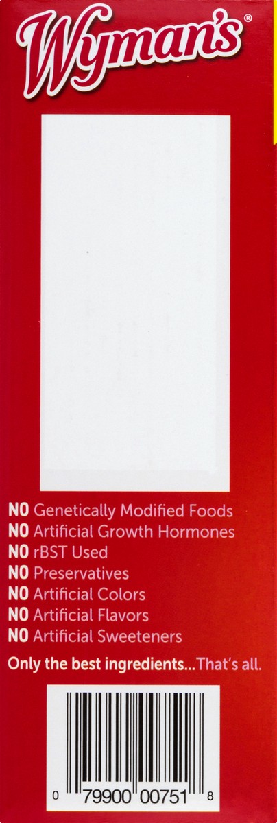 slide 7 of 9, Wyman's Just Fruit Strawberry Raspberries Yogurt, 9.2 oz