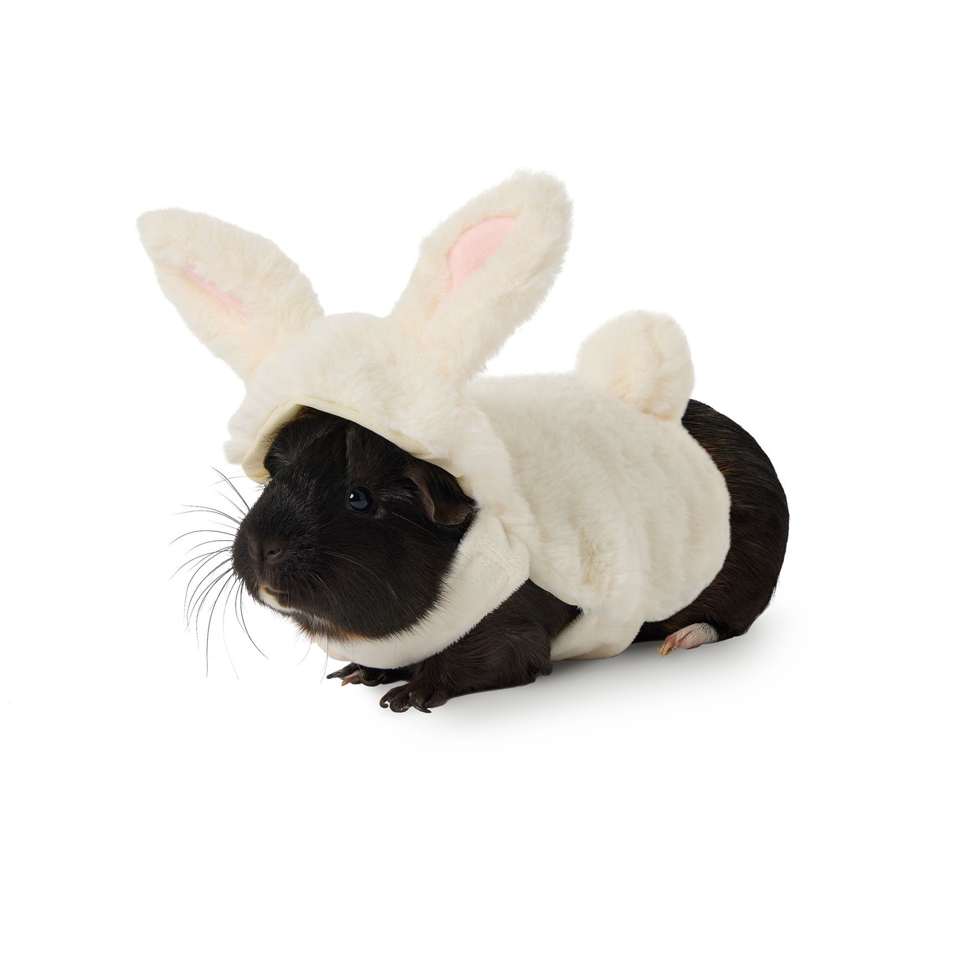 slide 1 of 1, Full Cheeks Small Pet Bunny Costume, 1 ct