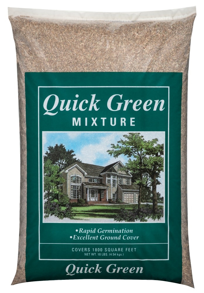 slide 1 of 1, Quick Green Grass Seed, 10 lb