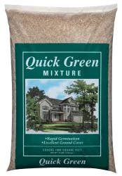 Quick Green Grass Seed