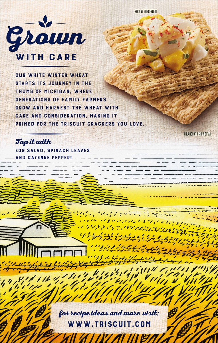 slide 8 of 9, Triscuit Garden Herb Whole Grain Wheat Crackers, 8.5 oz, 8.5 oz