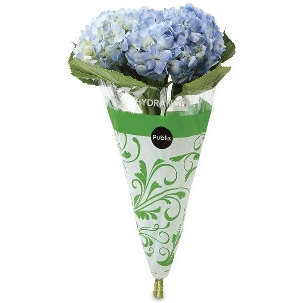 slide 1 of 1, Fresh Cut Hydrangea, 1 ct
