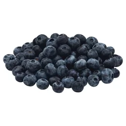 Blueberry Blueberries