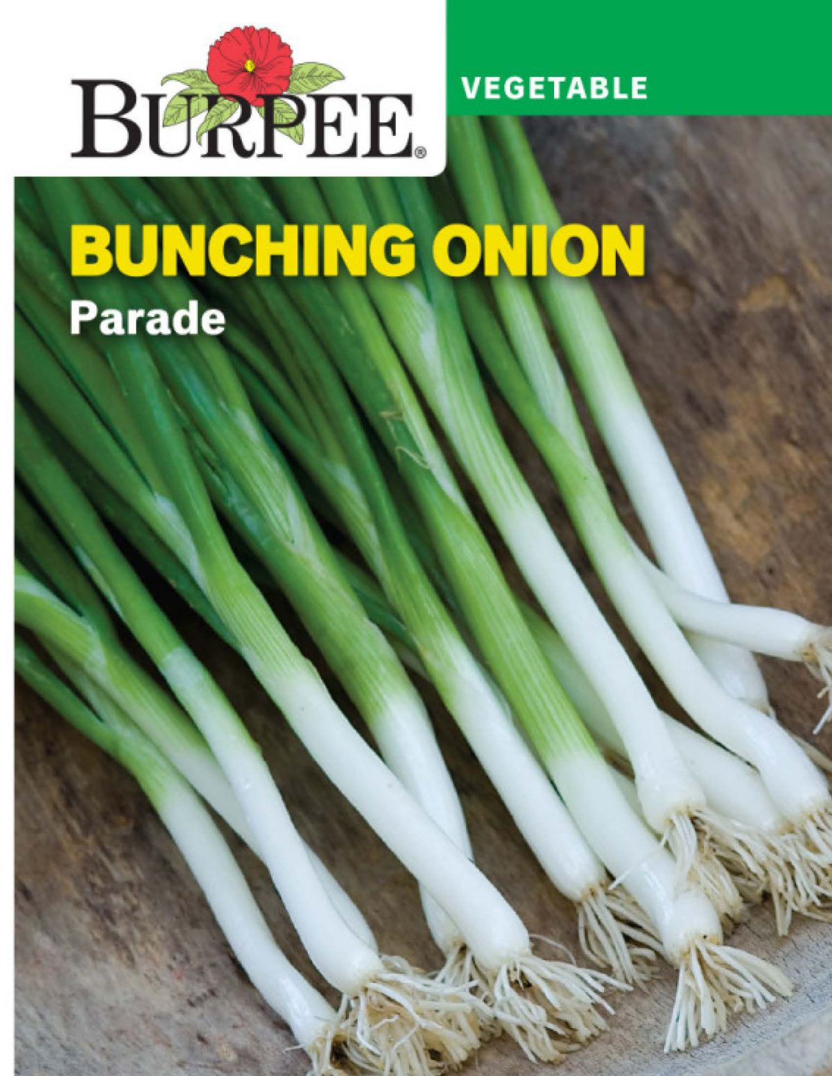 slide 1 of 1, Burpee Bunching Onion Parade Seeds, 1 ct