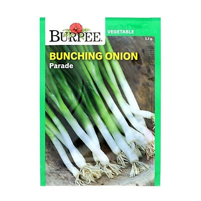 slide 1 of 1, Burpee Bunching Onion Parade Seeds, 1 ct