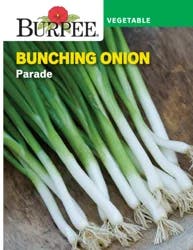 Burpee Bunching Onion Parade Seeds