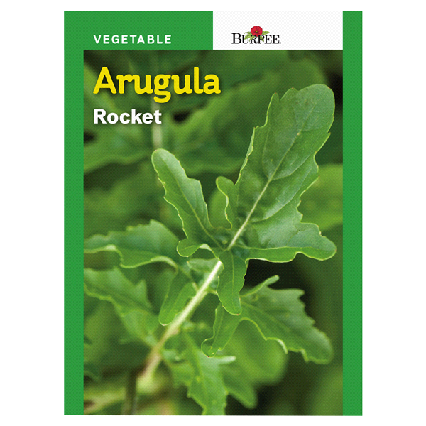 slide 1 of 1, Burpee Italian Arugula Rocket Seeds, 1 ct