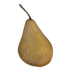 Pears Bosc Organic