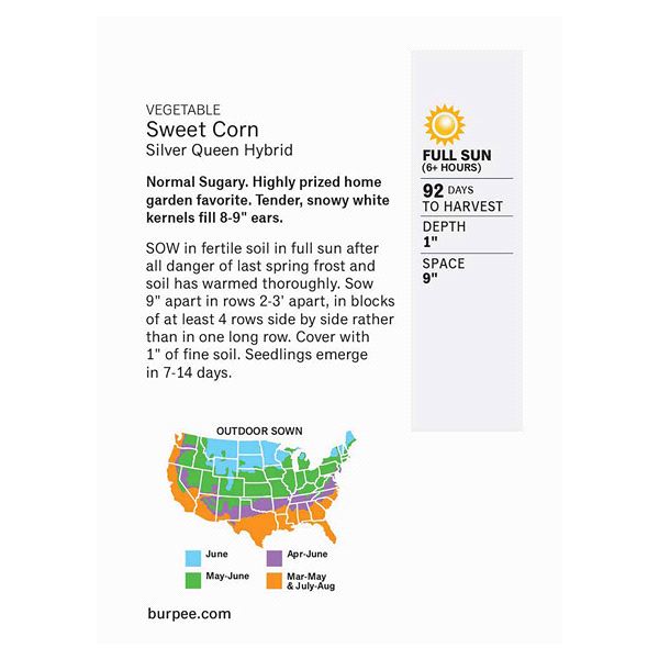 slide 4 of 5, Burpee Sweet Corn Silver Queen Hybrid Seeds, 1 ct