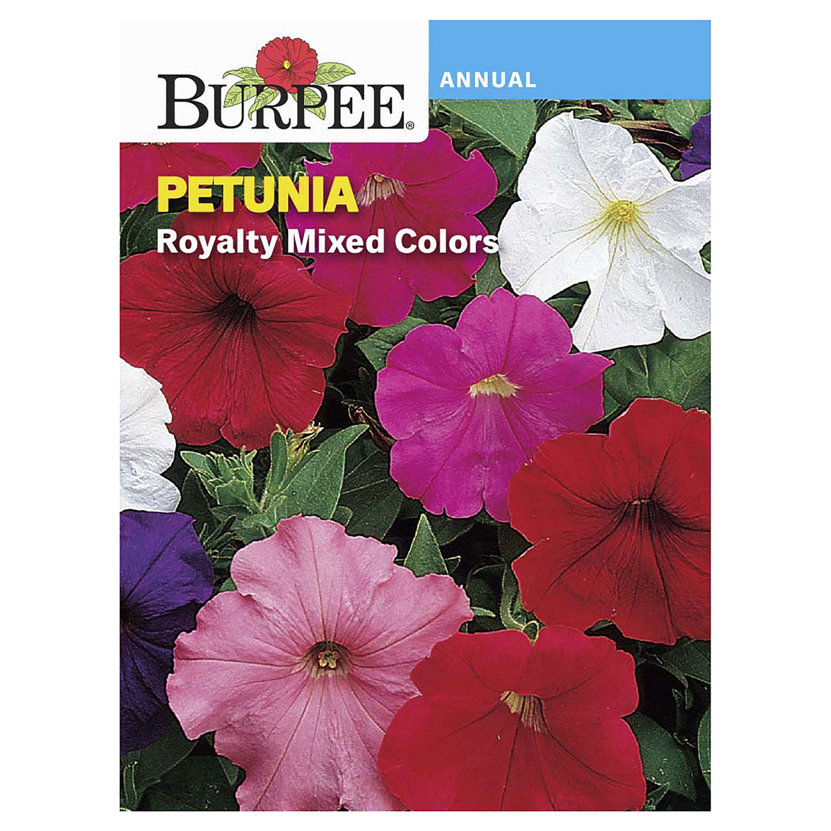 slide 1 of 5, Burpee Petunia Royalty Mix Seeds, 1 ct