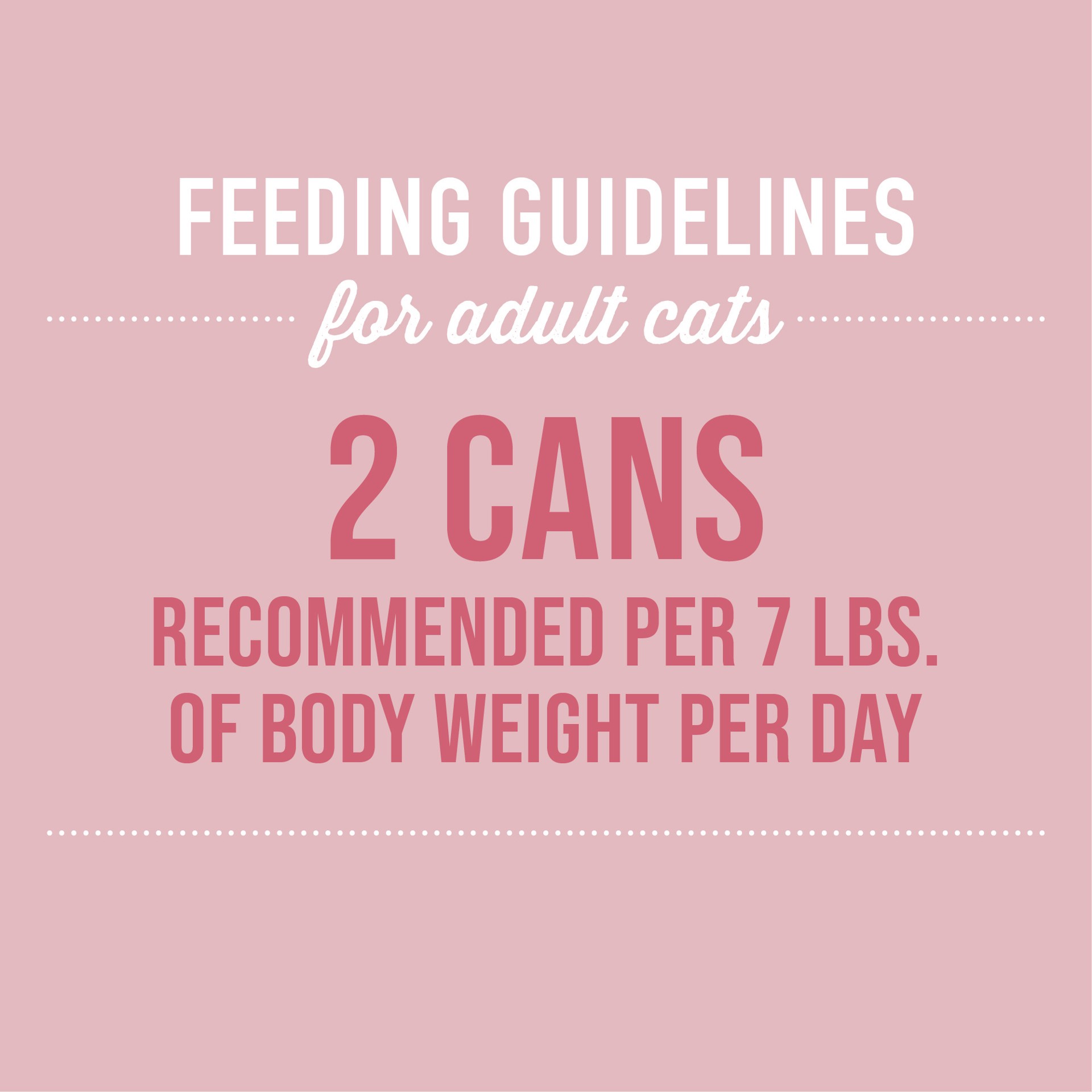 slide 2 of 7, Tiki Cat Silver Wet Cat Food for Senior Cats, Chicken Salmon & Chicken Liver Mousse & Shreds, 2.4 oz. Can, 2.4 oz