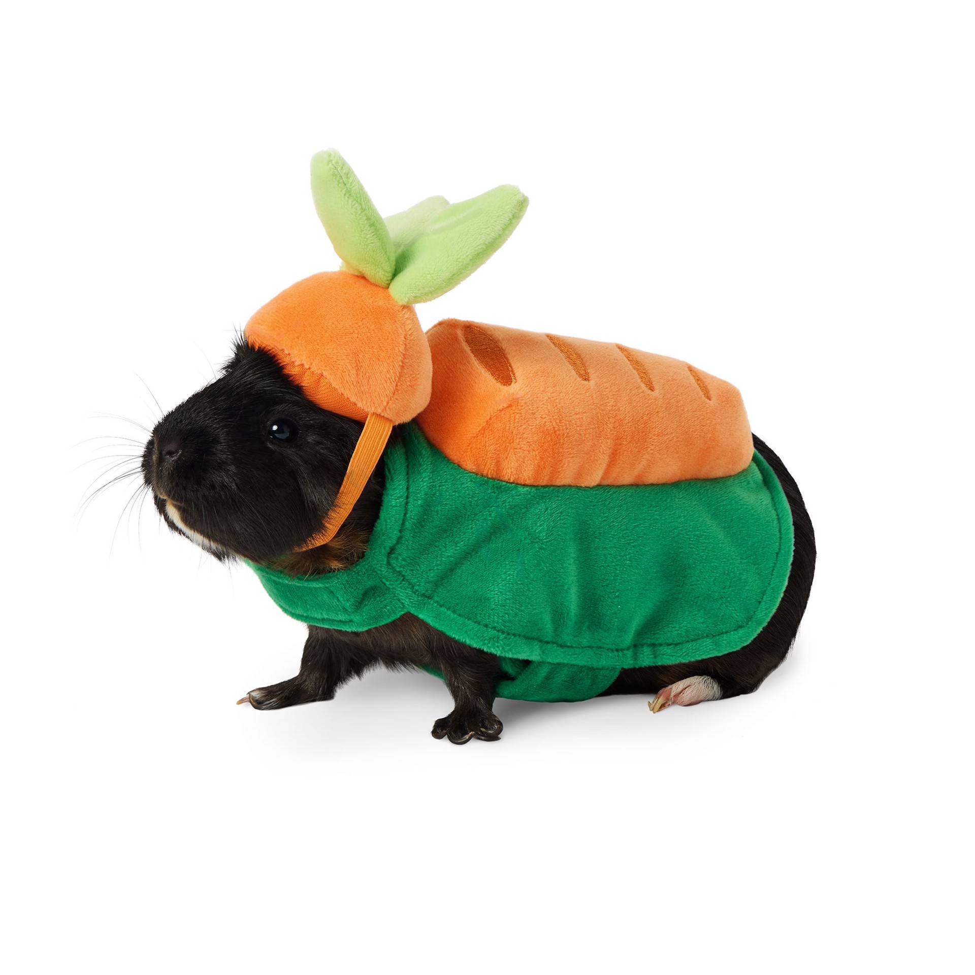 slide 1 of 1, Full Cheeks Small Pet Carrot Costume, 1 ct