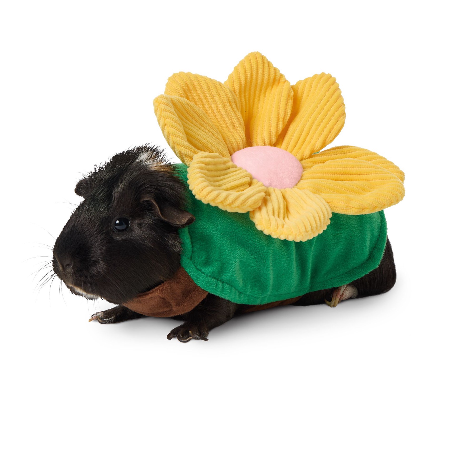 slide 1 of 1, Full Cheeks Small Pet Flower Costume, 1 ct