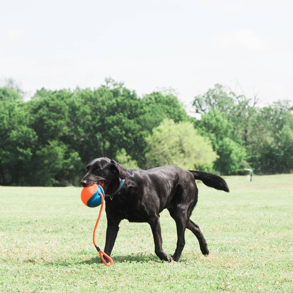 slide 3 of 6, Chuckit! Rope Fetch Dog Toy - Orange, MED