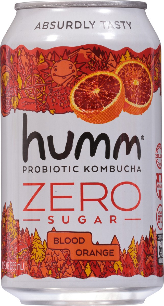 slide 5 of 9, Humm Zero Blood Orange - 12 fl oz, 12 fl oz