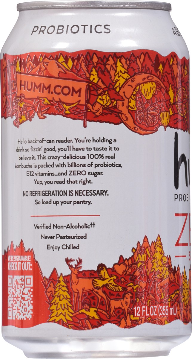 slide 6 of 9, Humm Zero Blood Orange - 12 fl oz, 12 fl oz