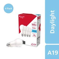 Everyday Living 125 Watt 100 Watt Daylight A19 Led Light Bulbs