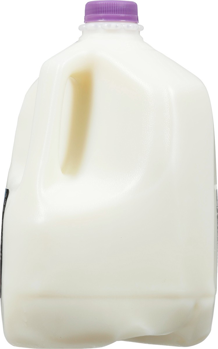 slide 2 of 13, Oak Farms Fat Free Milk 1 gl, 1 gal