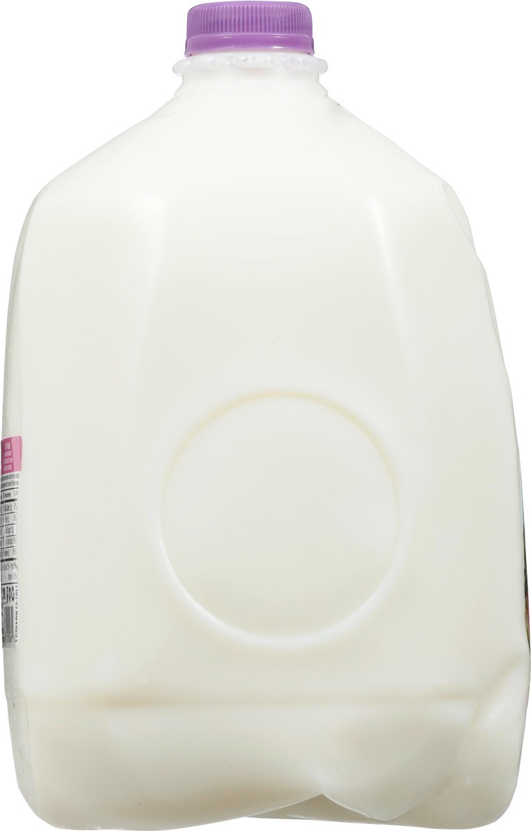 slide 8 of 13, Oak Farms Fat Free Milk 1 gl, 1 gal