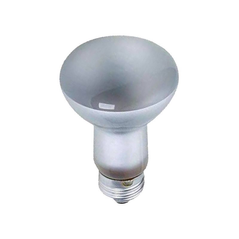 slide 4 of 5, GE Directional Indoor Floodlight Soft White 45 Watts R20 Bulb 1 ea, 1 ct