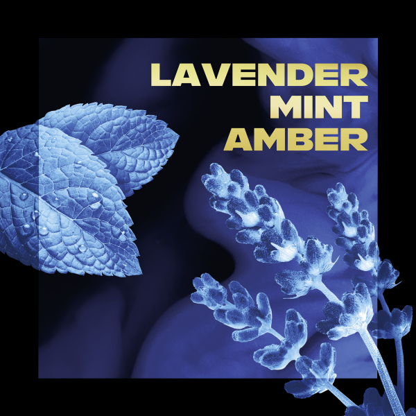 slide 3 of 22, AXE Fine Fragrance Collection Blue Lavender Premium Deodorant Body Spray for Men, 4 fl oz