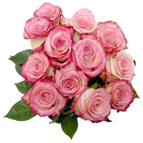 slide 1 of 1, Pink Roses - 12 Count, 12 ct