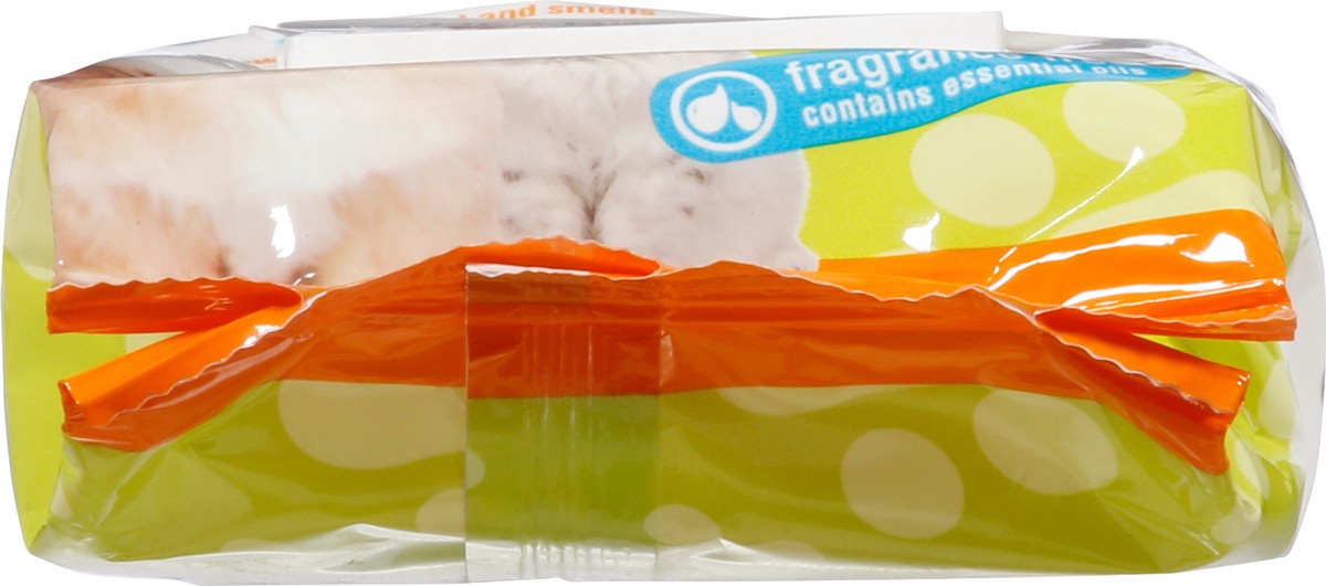 slide 7 of 12, Pets'n Friends Head-to-Tail Pet Wipes 60 Wipes 60 ea, 60 ct