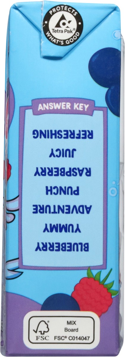 slide 6 of 13, Tampico Blueberry Raspberry Punch 3 - 6.75 fl oz Cartons, 3 ct