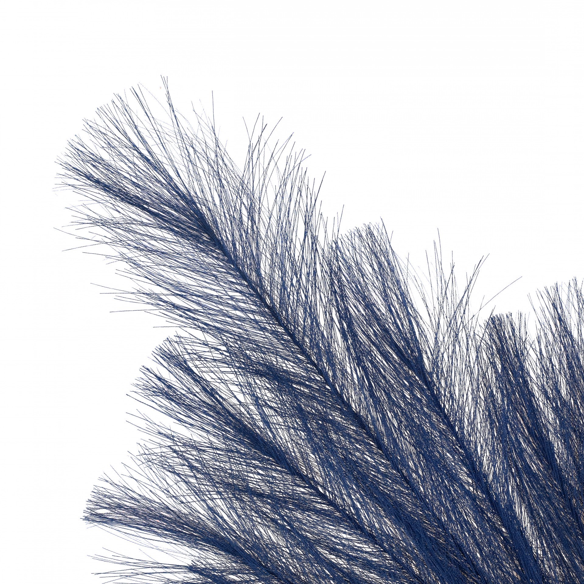 slide 2 of 3, 5ft. Dark Navy Pampas Grass Stem By Ashland, 8 in x 8 in x 60 in
