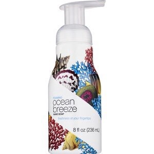 slide 1 of 1, CVS Health Foaming Hand Soap 8 Oz, Ocean Breeze, 8 oz
