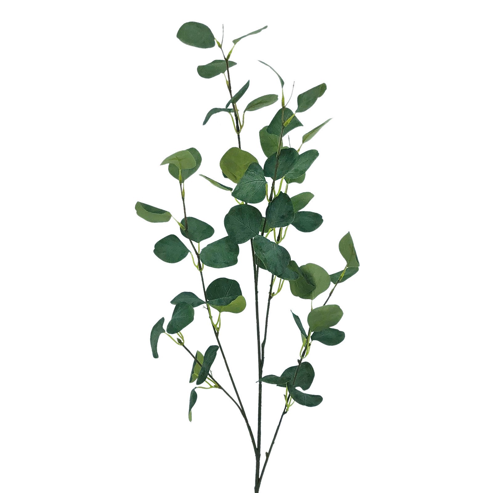 slide 2 of 2, 40" Oval Eucalyptus Stem By Ashland, 36 in