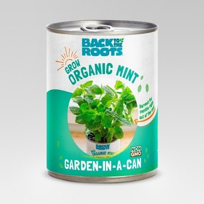 slide 1 of 1, Back to the Roots Garden Grow Kit Mint, 1 ct