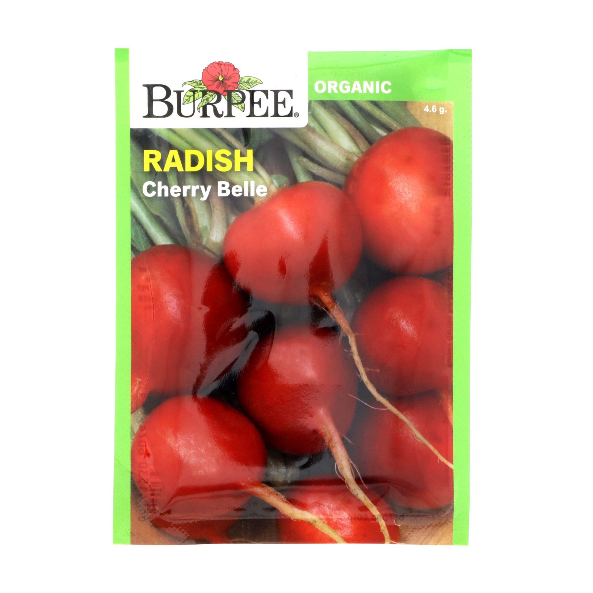 slide 1 of 1, Burpee Cherry Belle Radish Seeds, 1 ct