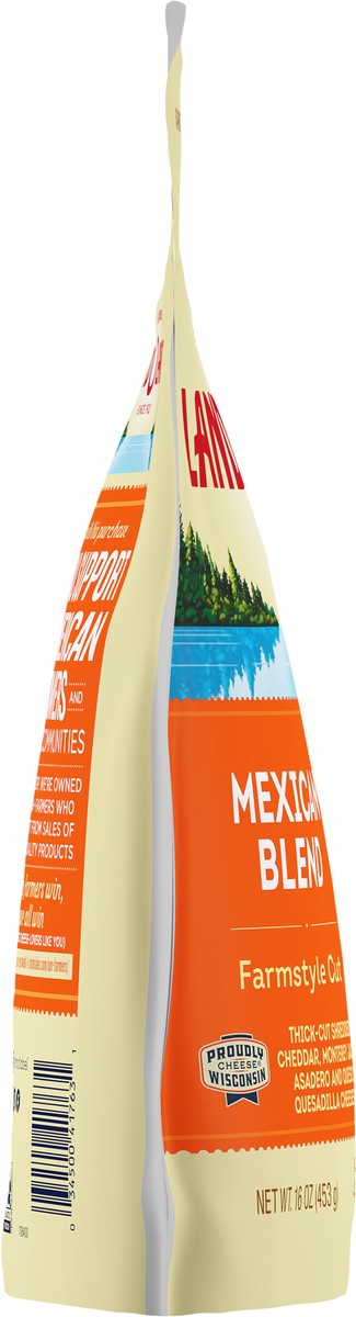 slide 6 of 11, Landolakes Mexican Blend Shreds, 16 oz