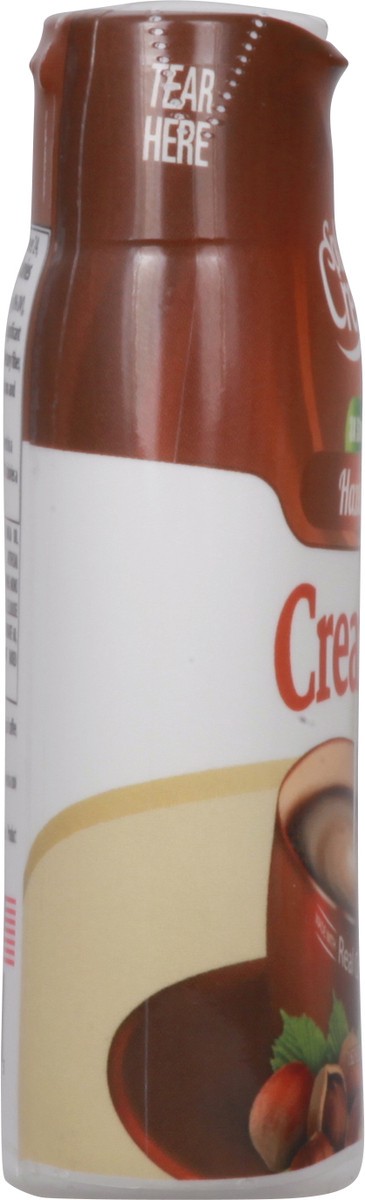 slide 7 of 9, Splash of Cream 3x Strength Hazelnut Creamer - 1.62 fl oz, 1.62 fl oz