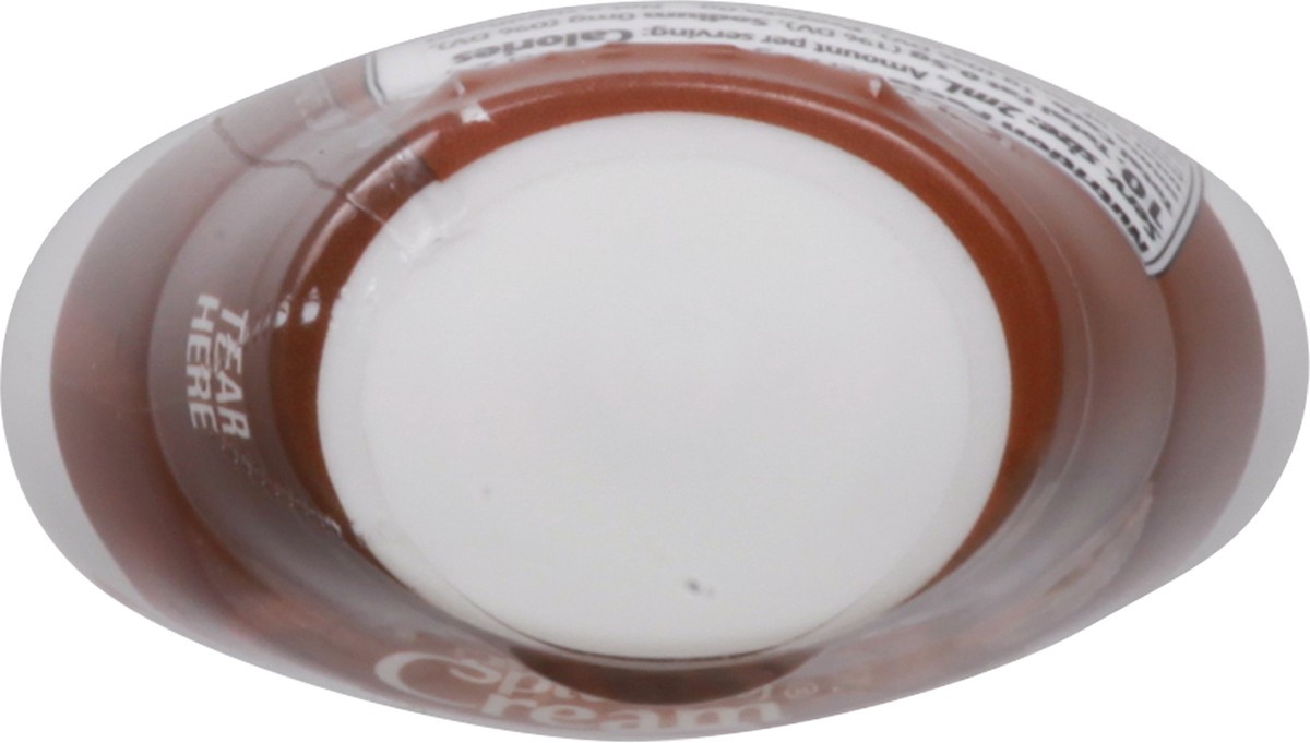 slide 9 of 9, Splash of Cream 3x Strength Hazelnut Creamer 1.62 fl oz, 1.62 fl oz