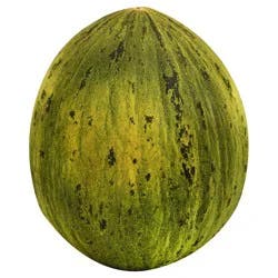 Piel De Sapo Melon