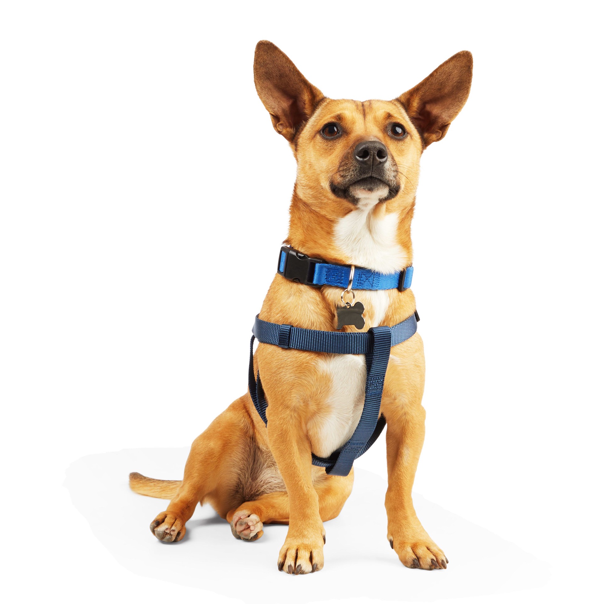 slide 1 of 1, YOULY Blue Dog Harness, Medium, MED
