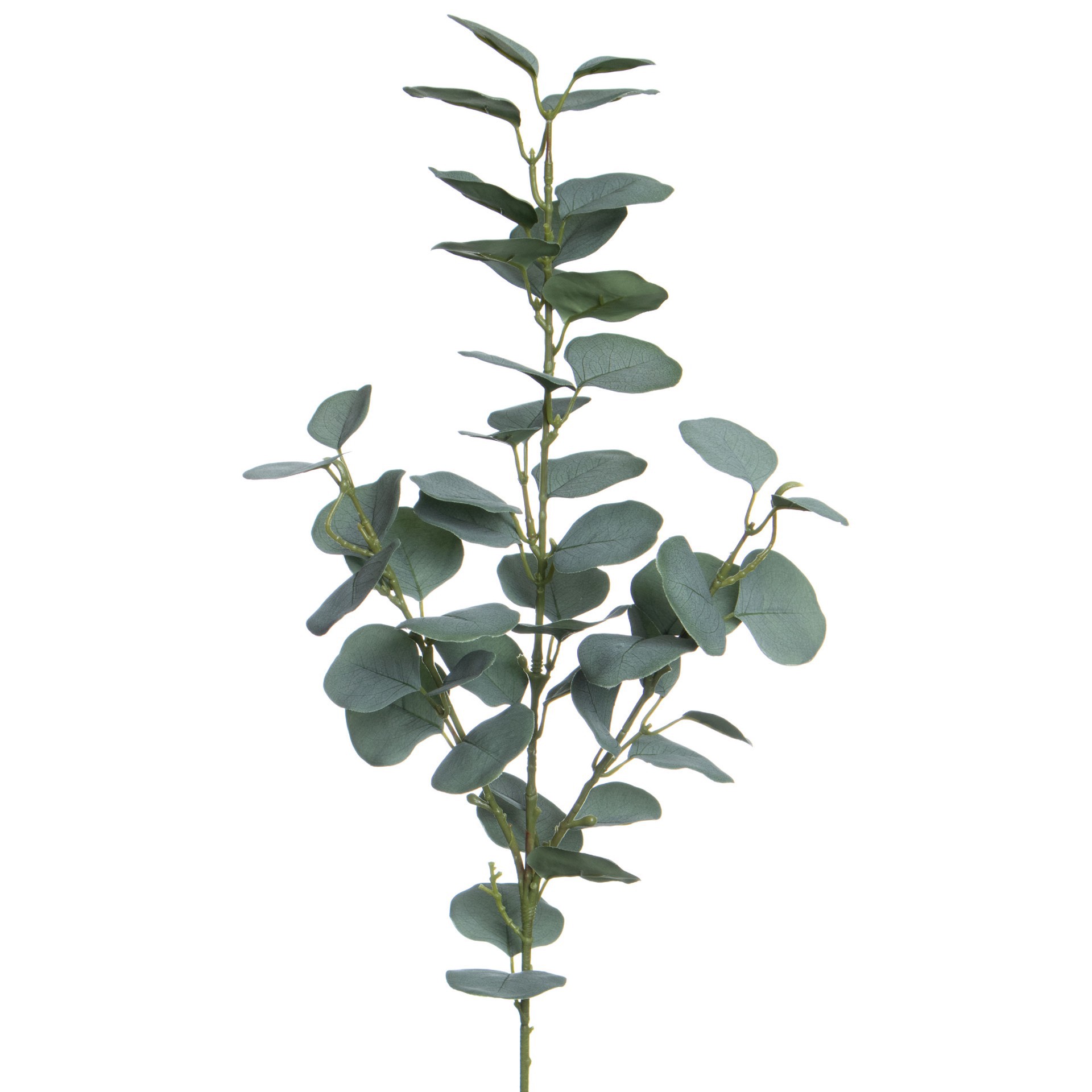 slide 3 of 3, 32" Green Eucalyptus Stem By Ashland, 8 in x 3 in x 32 in