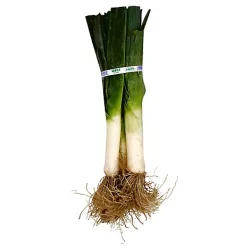 Leek