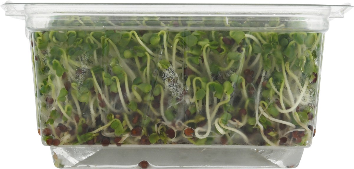 slide 2 of 9, Wild About Sprouts Broccoli 3 oz, 3 oz