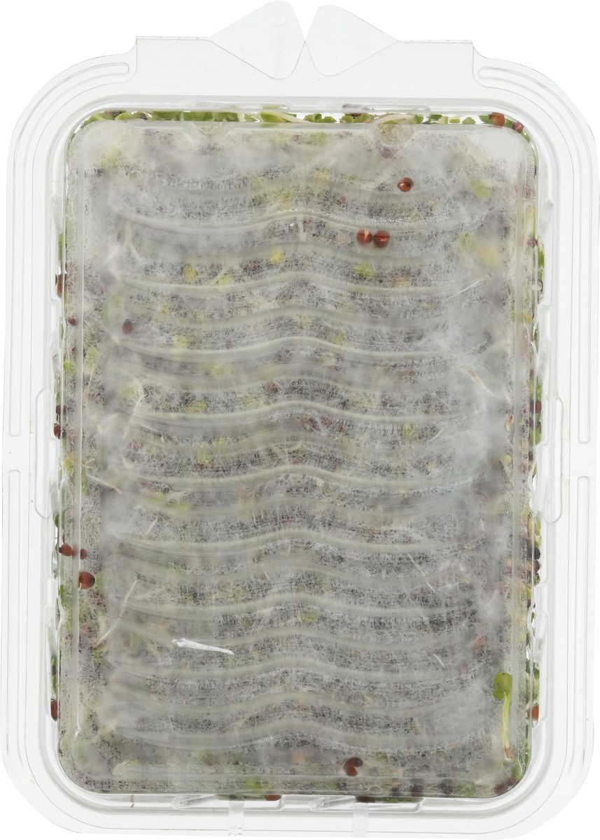 slide 3 of 9, Wild About Sprouts Broccoli 3 oz, 3 oz