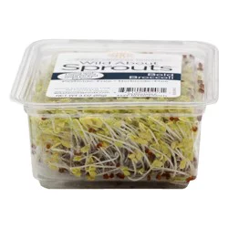 Wild About Sprouts Broccoli 3 oz