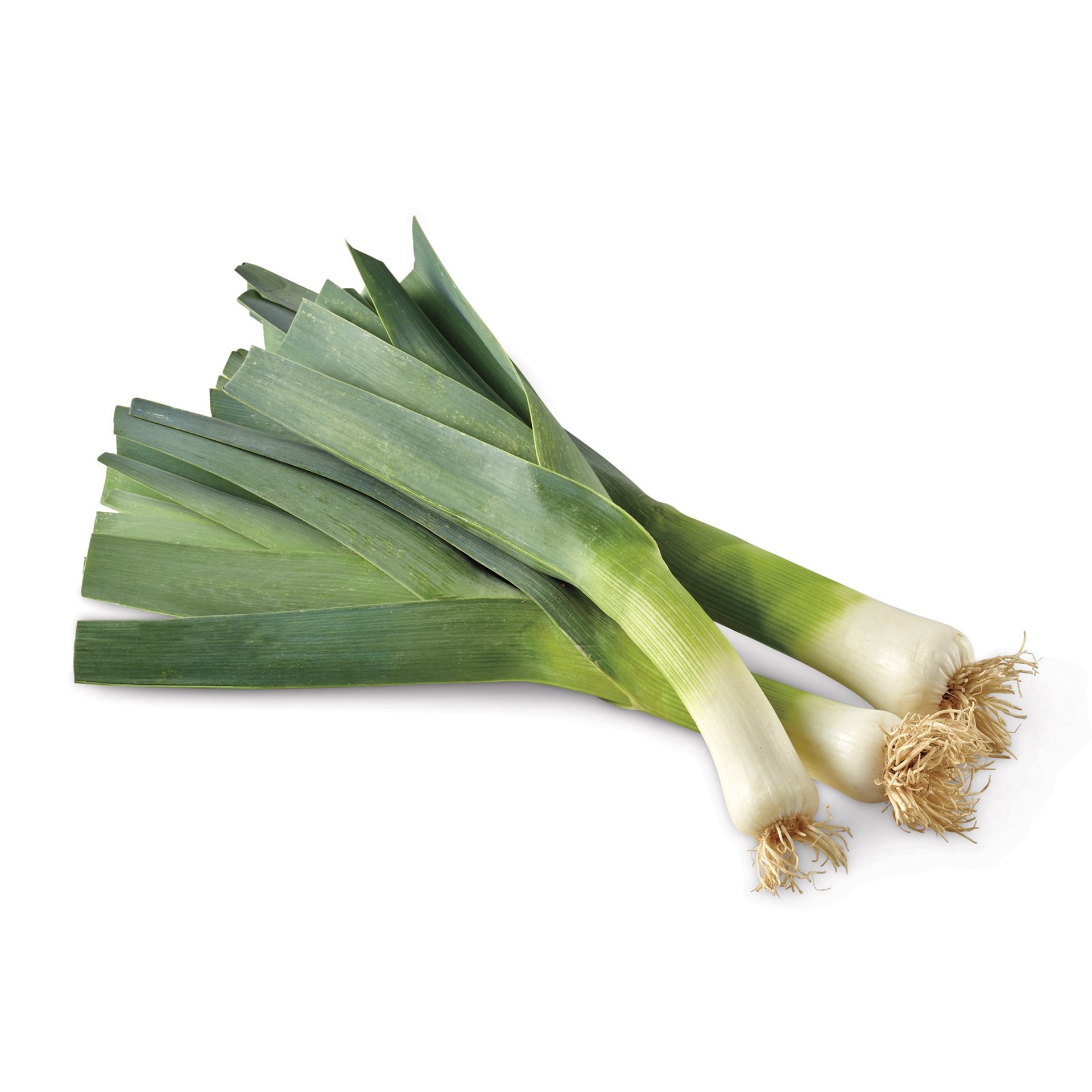 slide 1 of 1, Produce Leeks 1 ea, 1 bundle