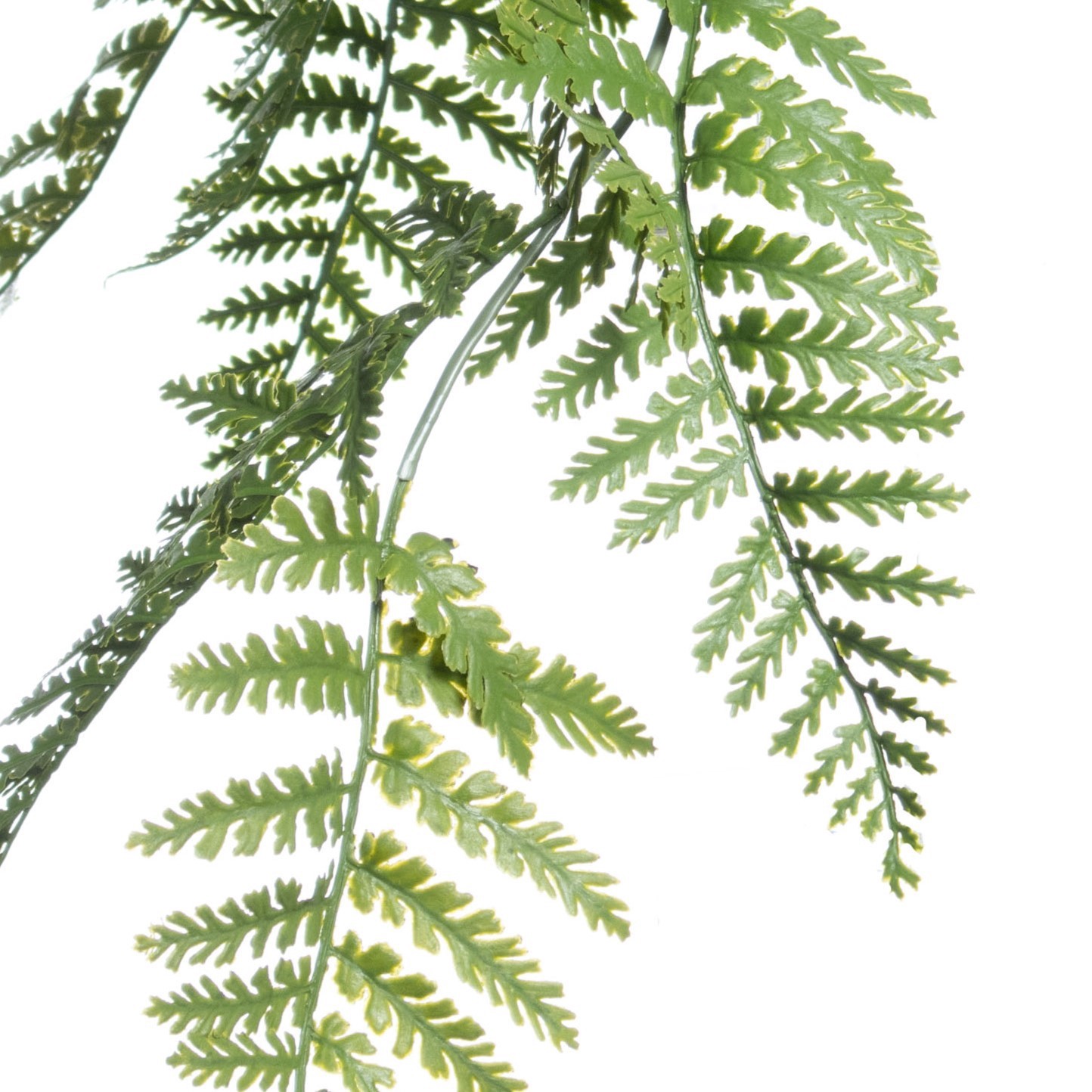 slide 2 of 3, 31" Hanging Ostrich Fern Uv Bush By Ashland, 31 in