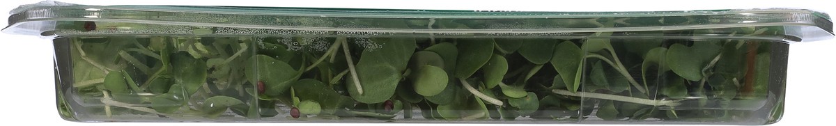 slide 5 of 9, Aerofarms Micro Broccoli, 2 oz