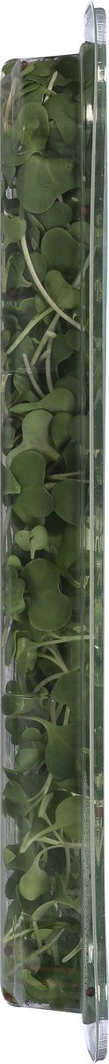 slide 4 of 9, Aerofarms Micro Broccoli, 2 oz