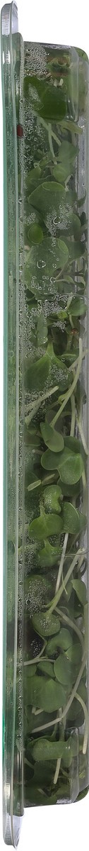 slide 3 of 9, Aerofarms Micro Broccoli, 2 oz