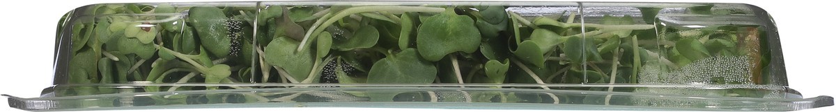 slide 2 of 9, Aerofarms Micro Broccoli, 2 oz