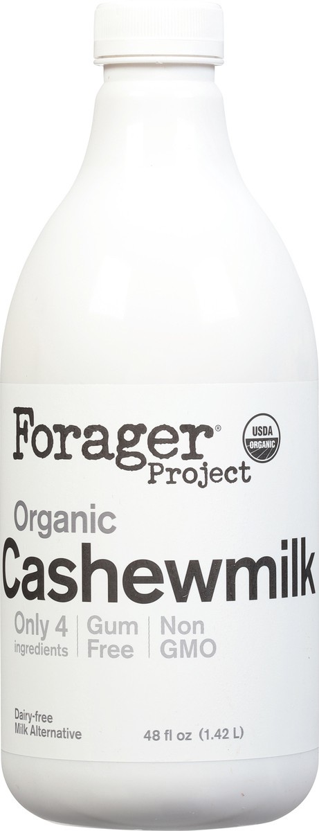 slide 6 of 9, Forager Project Cashew Milk Vegan Unsweet Organic, 48 fl oz